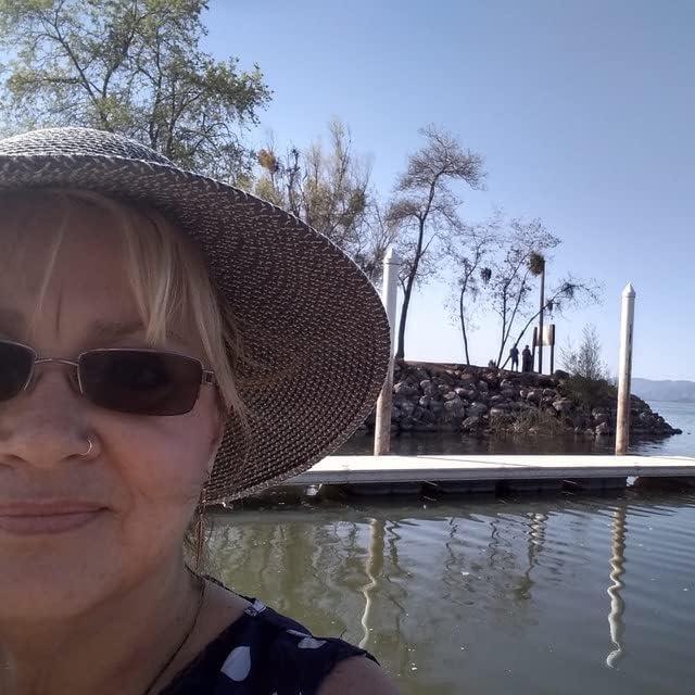 Aro Falso de Septum D.Bella 20G Acero Inoxidable 3 Piezas