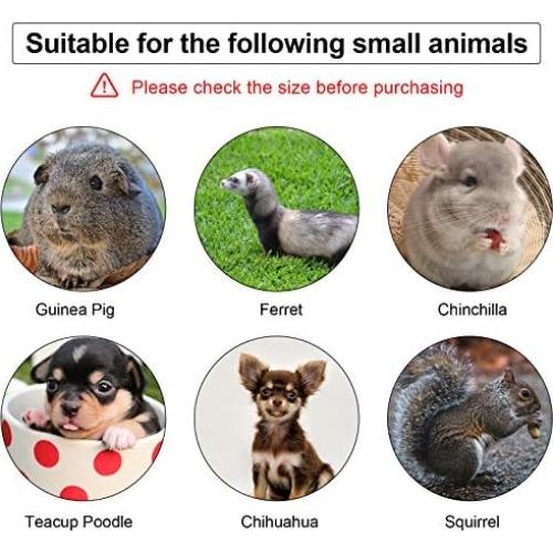 Conjunto Arnés y Correa Weewooday para Mascotas Pequeñas 4 Piezas