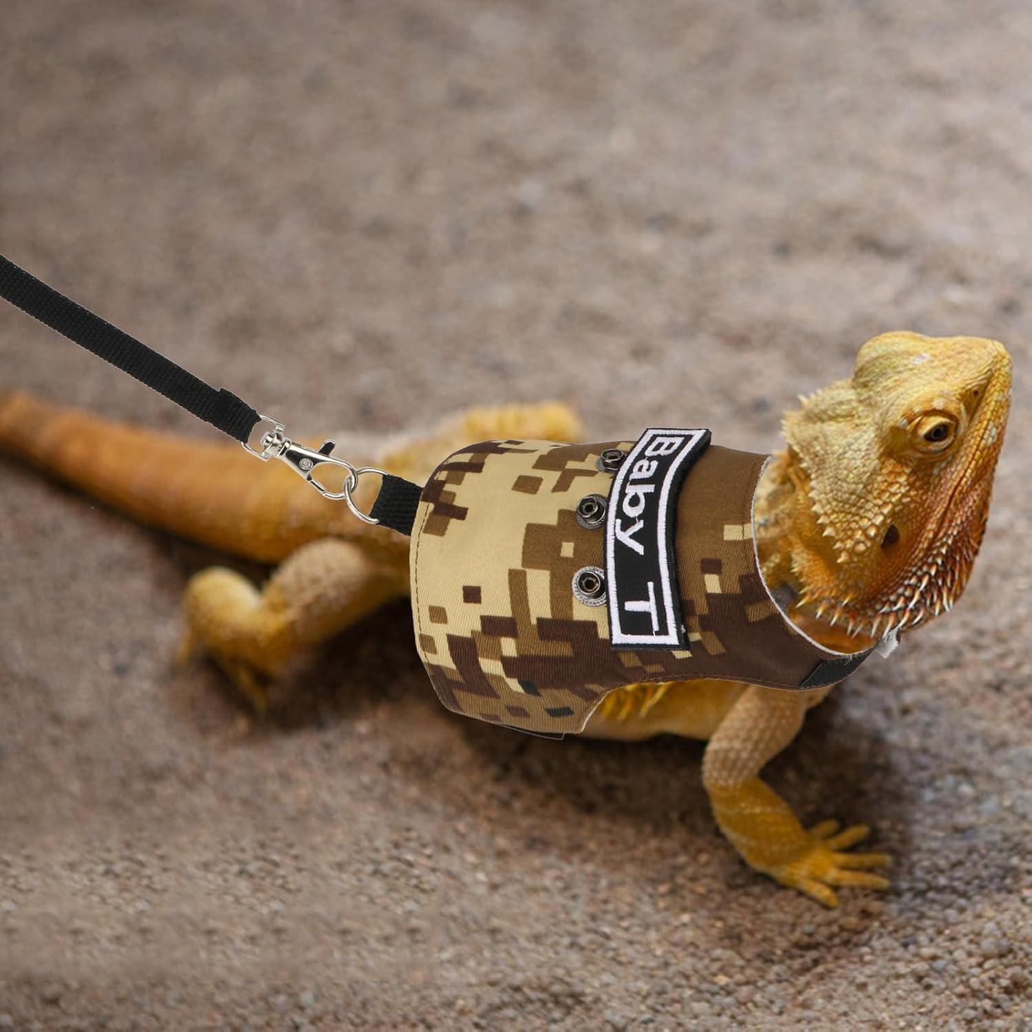 Conjunto Arnés y Correa Hypeety para Dragón Barbudo Ajustable