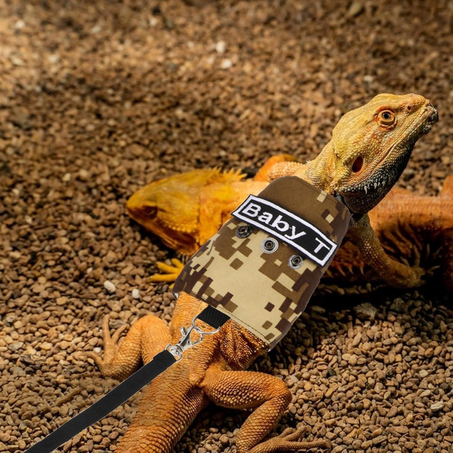 Conjunto Arnés y Correa Hypeety para Dragón Barbudo Ajustable