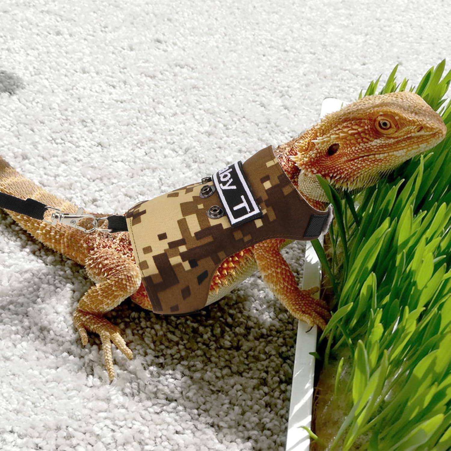 Conjunto Arnés y Correa Hypeety para Dragón Barbudo Ajustable