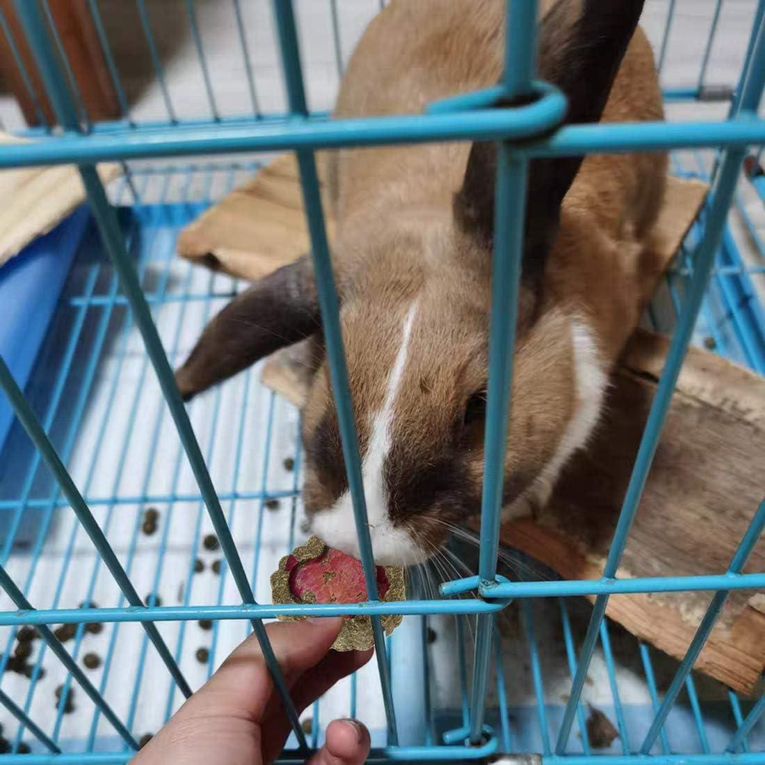 36 Piezas Juguetes Masticables Hamiledyi para Conejos y Roedores