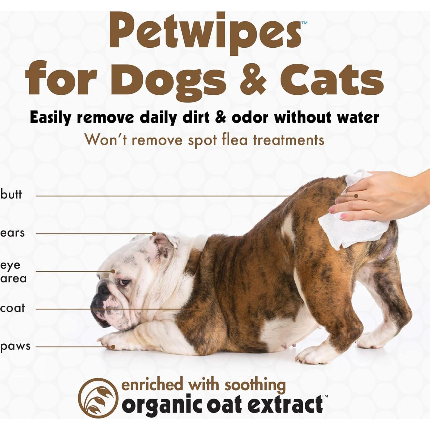 Toallitas para Mascotas Petkin 100 Unidades Avena para Perros y Gatos