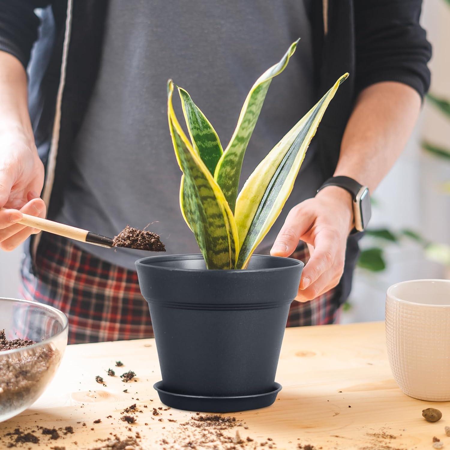 Macetas de Plástico Negras 10 cm - Paquete de 16 Meowell