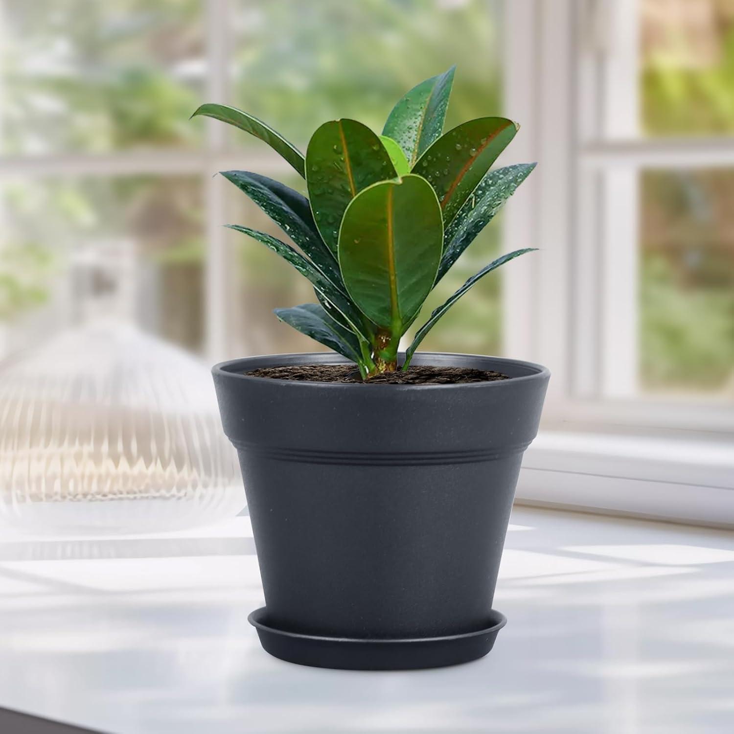 Macetas de Plástico Negras 10 cm - Paquete de 16 Meowell