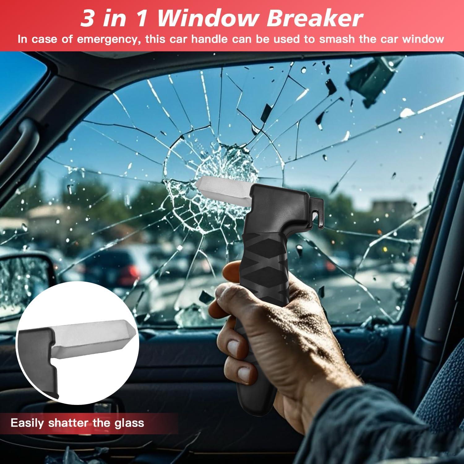 Mango de Asistencia para Puerta de Coche Tesheer - Negro