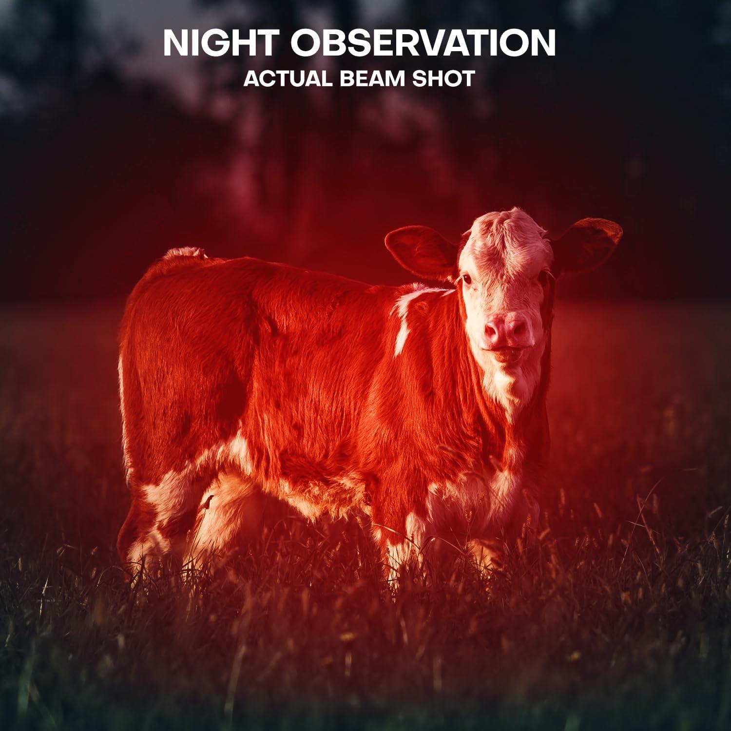 Paquete de 2 Linternas LED Rojas HinsGEAR SK68RD2 para Astronomía