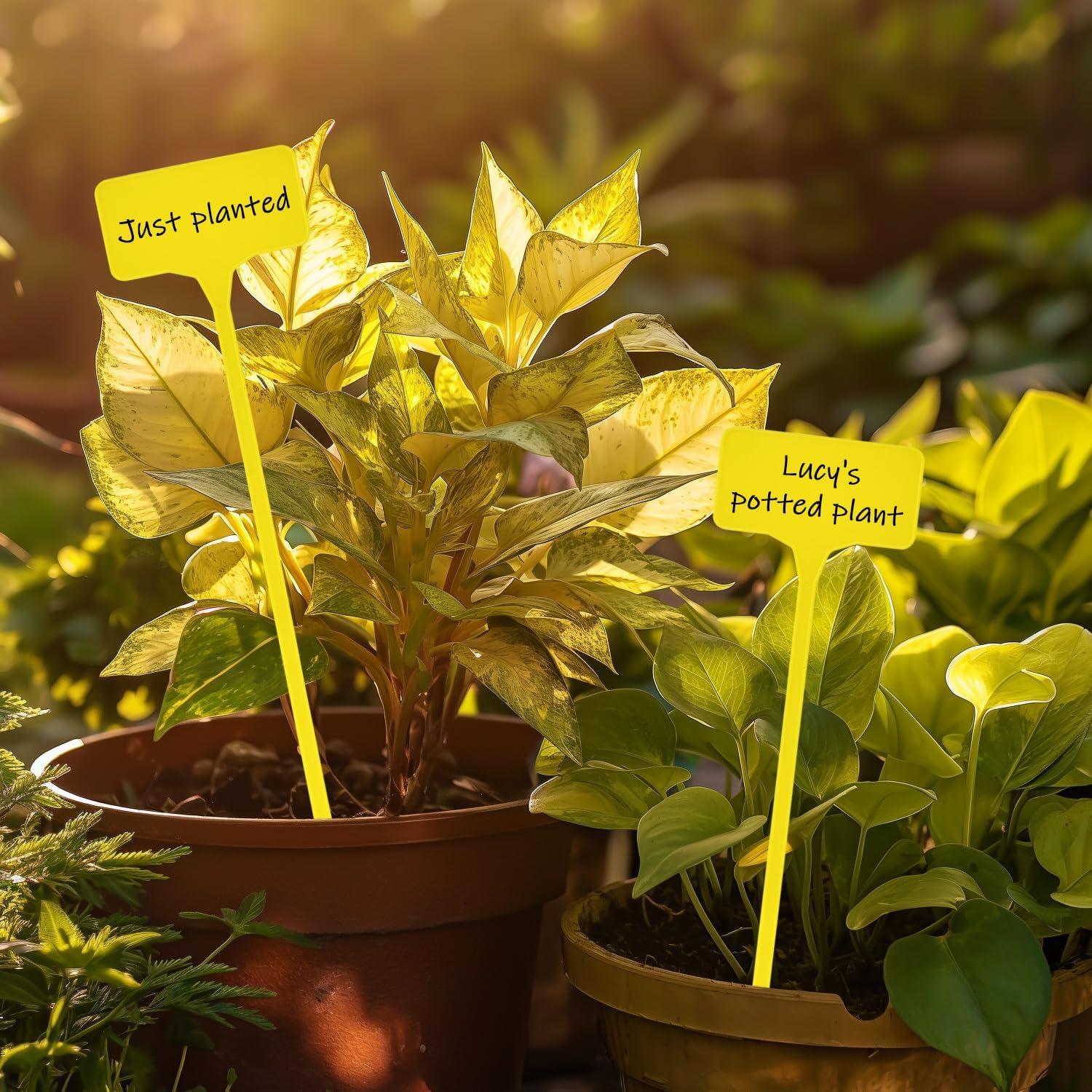 Etiquetas para Plantas T-Tipo Yuanling 60PCS Amarillo 29cm