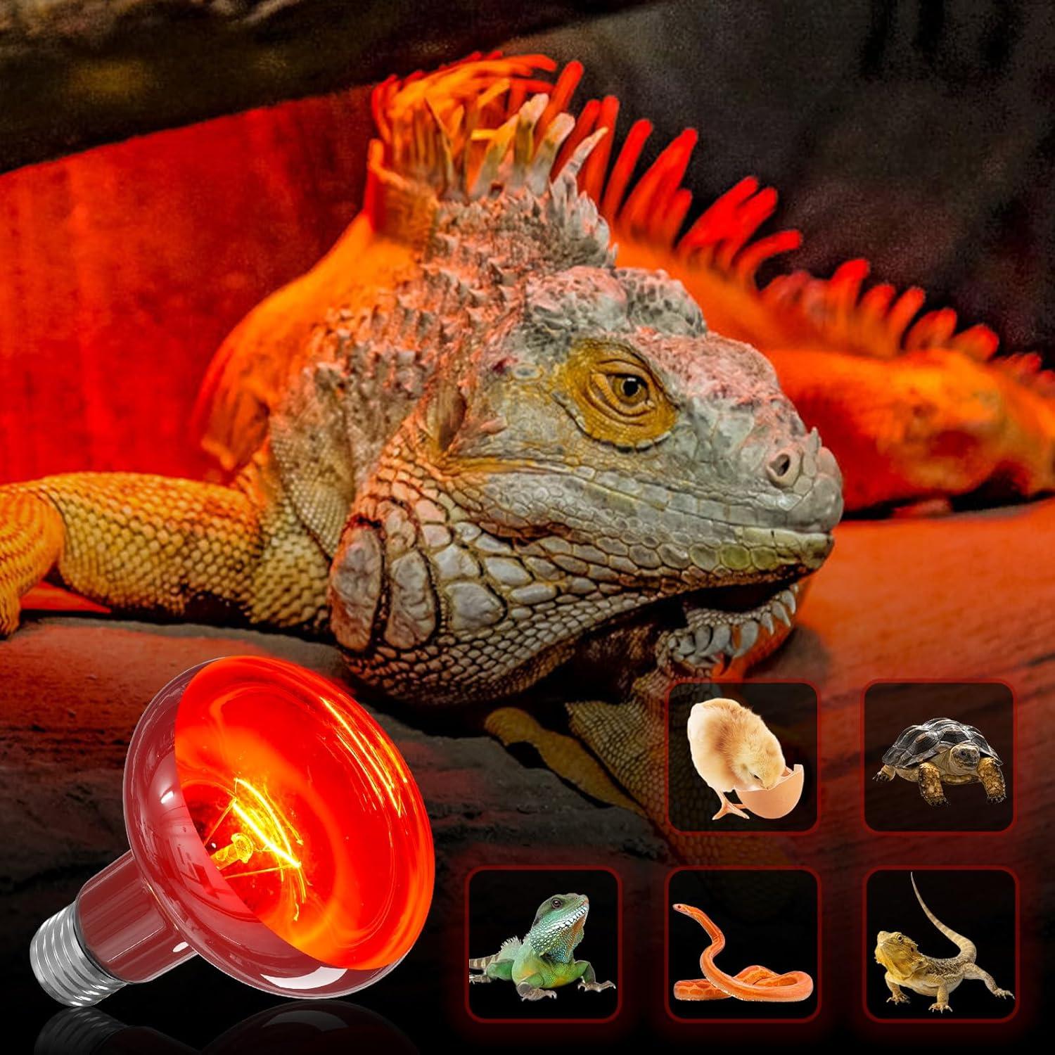 Bombilla de Calor Roja Infrarroja TobeBright 75W para Reptiles 2Pack