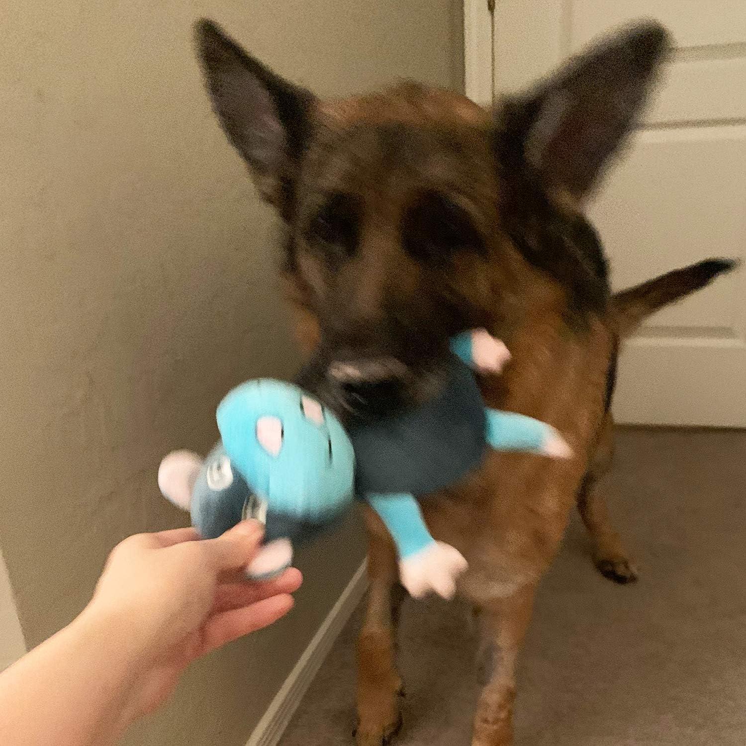 Juego de Juguetes para Perros Jalousie 3 Piezas 2-en-1 Squeaky