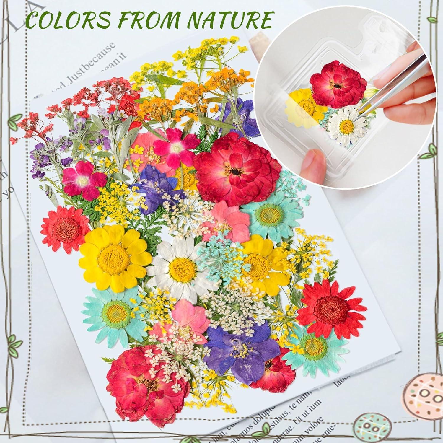 Kit de Marcadores de Flores Secas Kaluofan 103PCS DIY