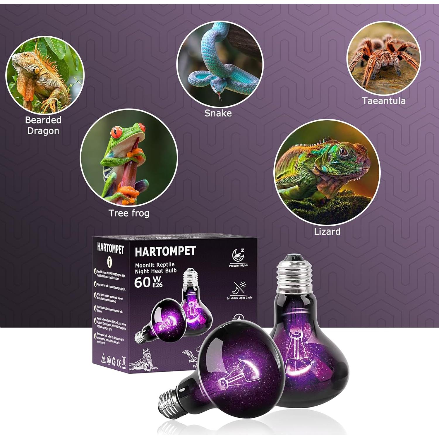 Bombilla Nocturna UVA 60W HARTOMPET para Reptiles - Paquete de 2
