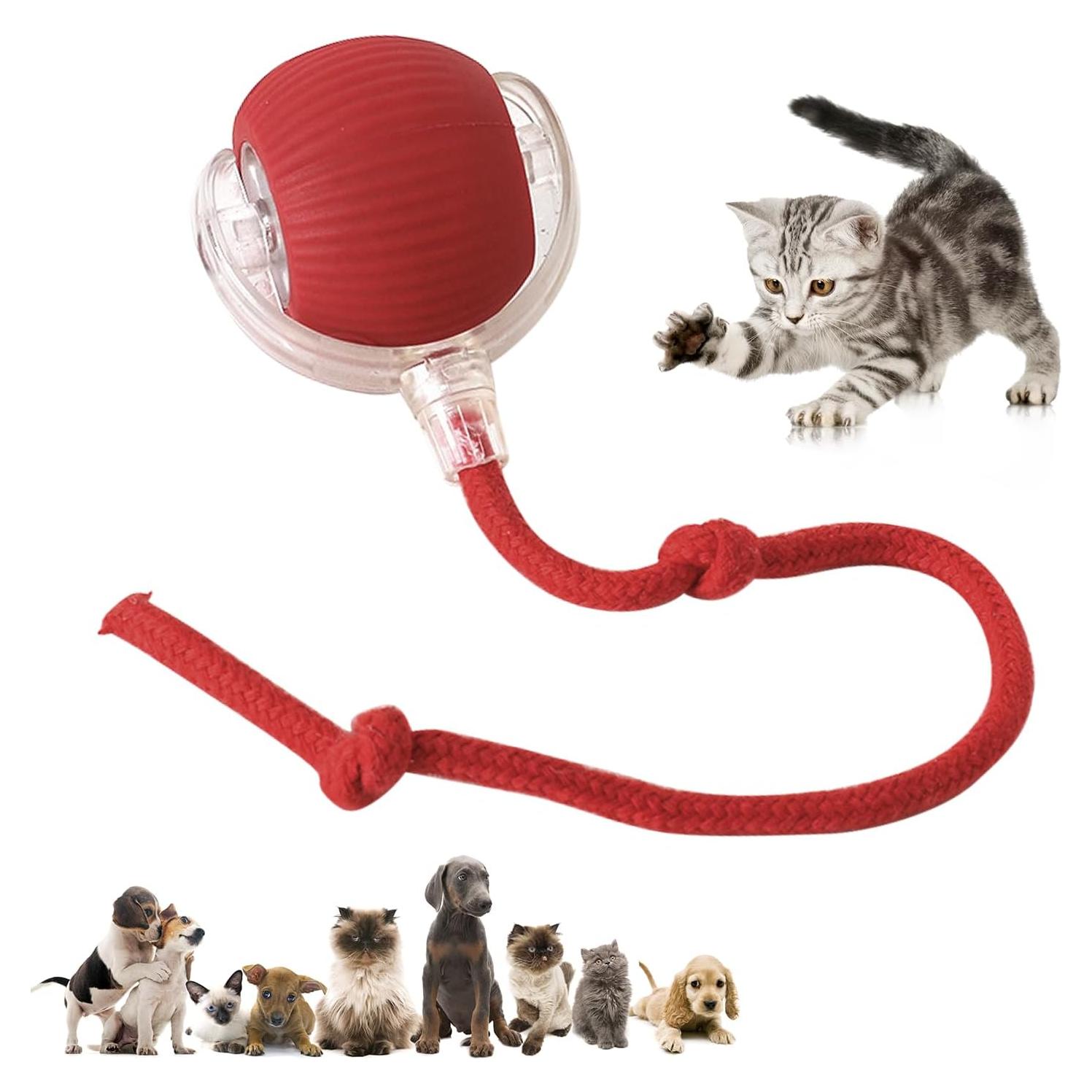 Bola Interactiva Chewie Viral para Perros y Gatos - Rojo