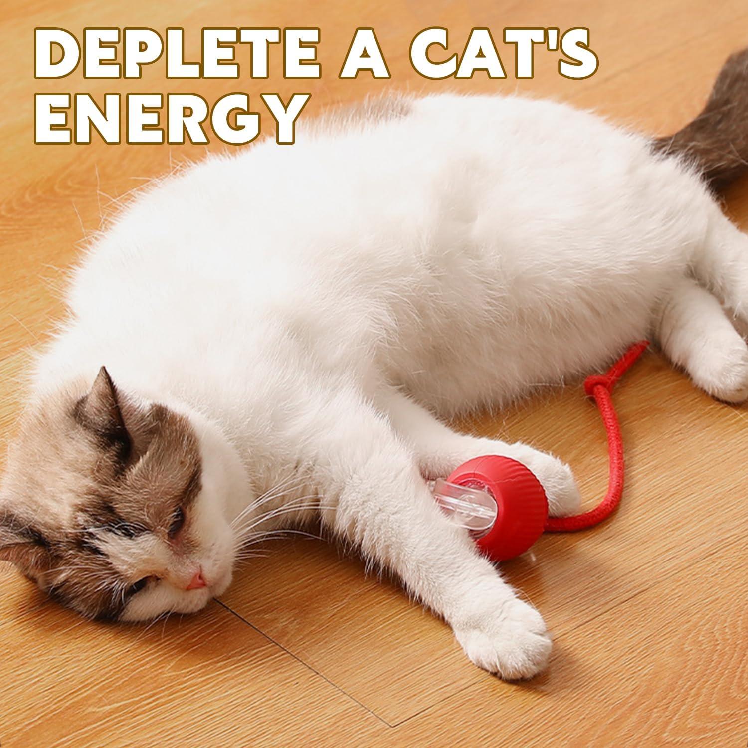 Bola Interactiva Chewie Viral para Perros y Gatos - Rojo