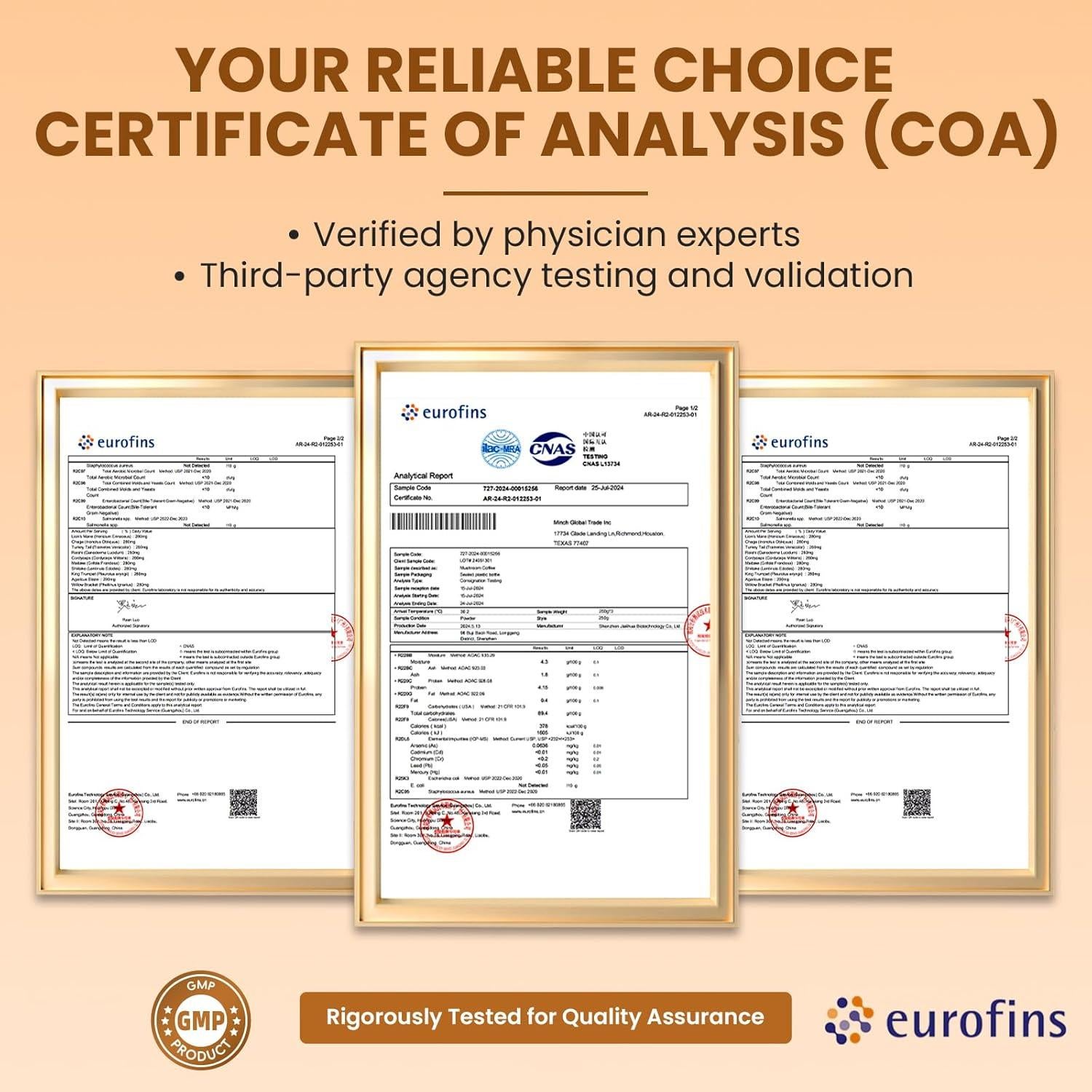 Café de Hongo Instantáneo B BEWORTHS 120g - Lion's Mane, Reishi, Cacao