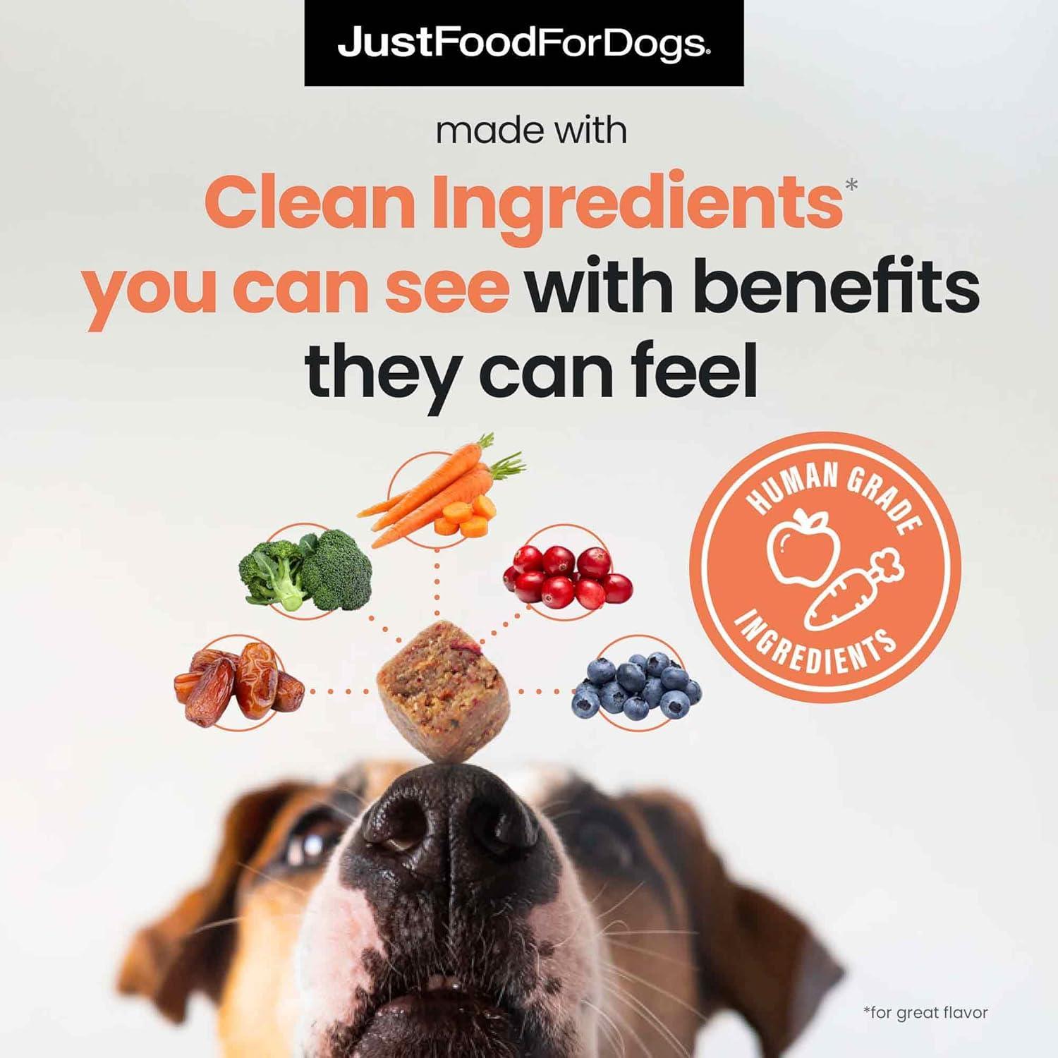 Suplemento Multifuncional 10-en-1 JustFoodForDogs 299g