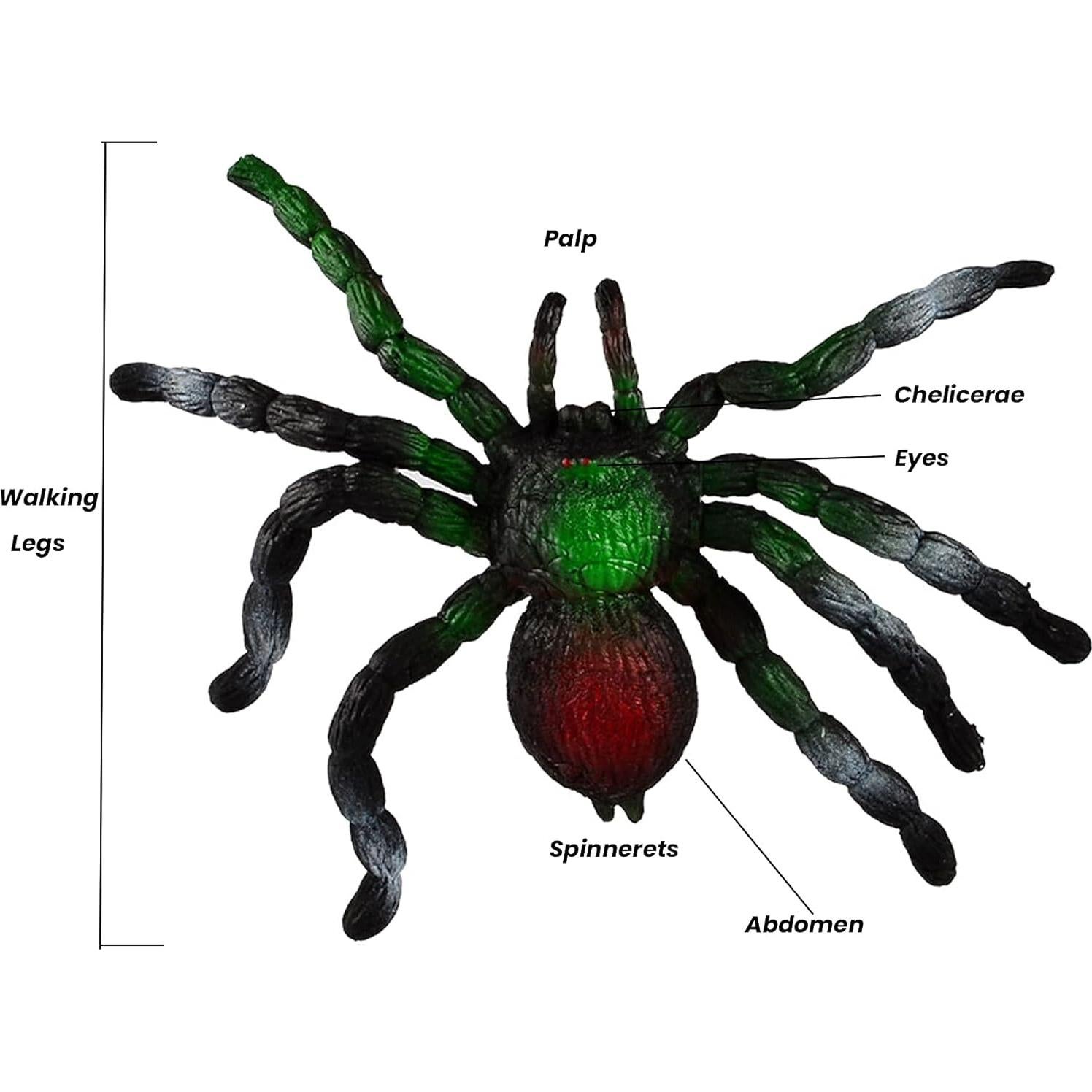 Araña de Goma Estirable BOHS - Juguete Realista para Halloween