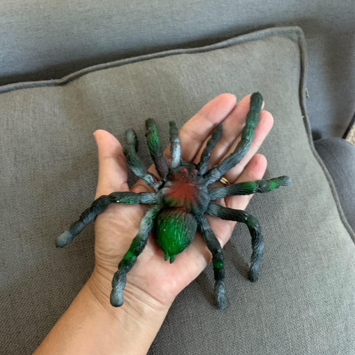 Araña de Goma Estirable BOHS - Juguete Realista para Halloween