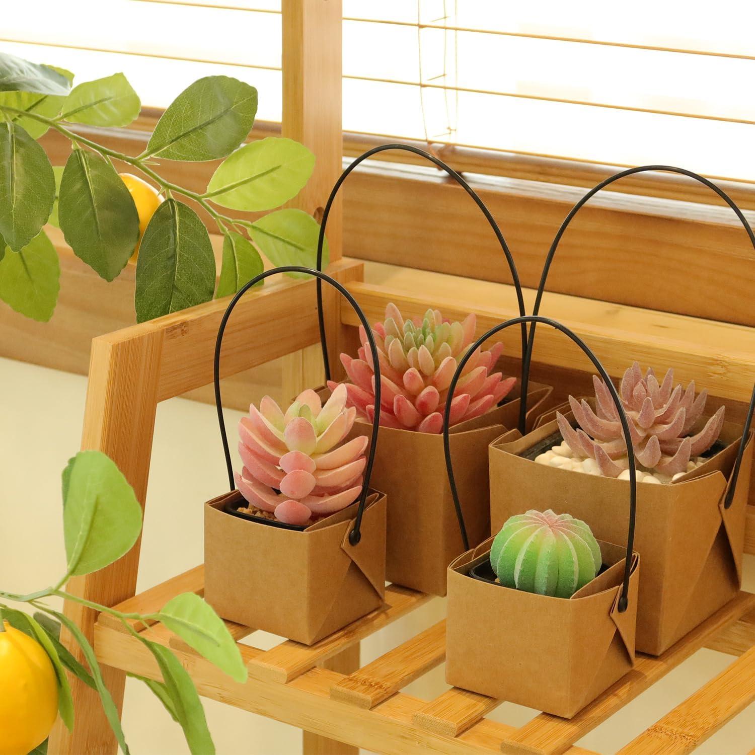 Set de 20 Macetas Pequeñas LUCKJUJU 5.08 cm con Bolsa Kraft