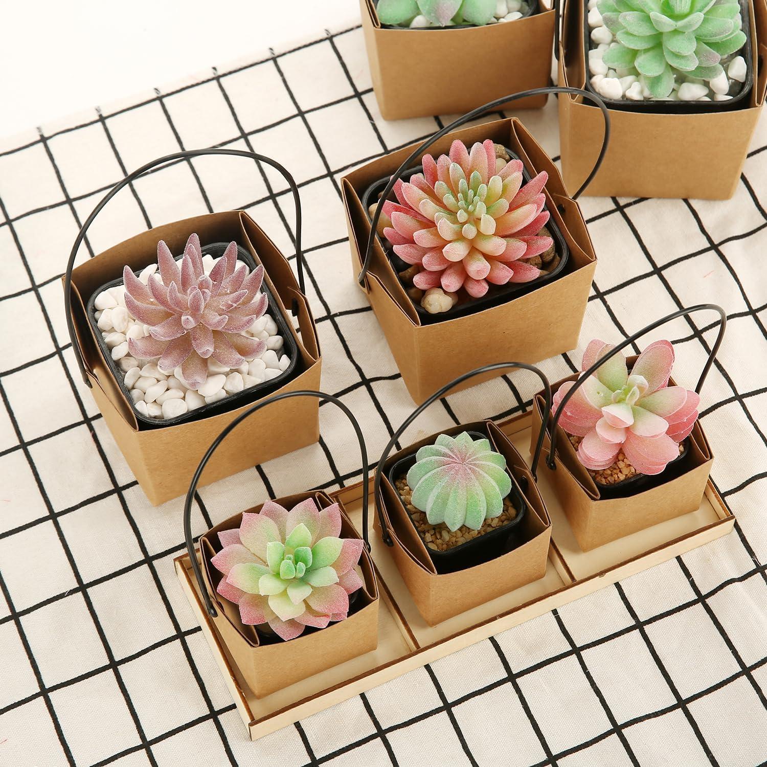 Set de 20 Macetas Pequeñas LUCKJUJU 5.08 cm con Bolsa Kraft