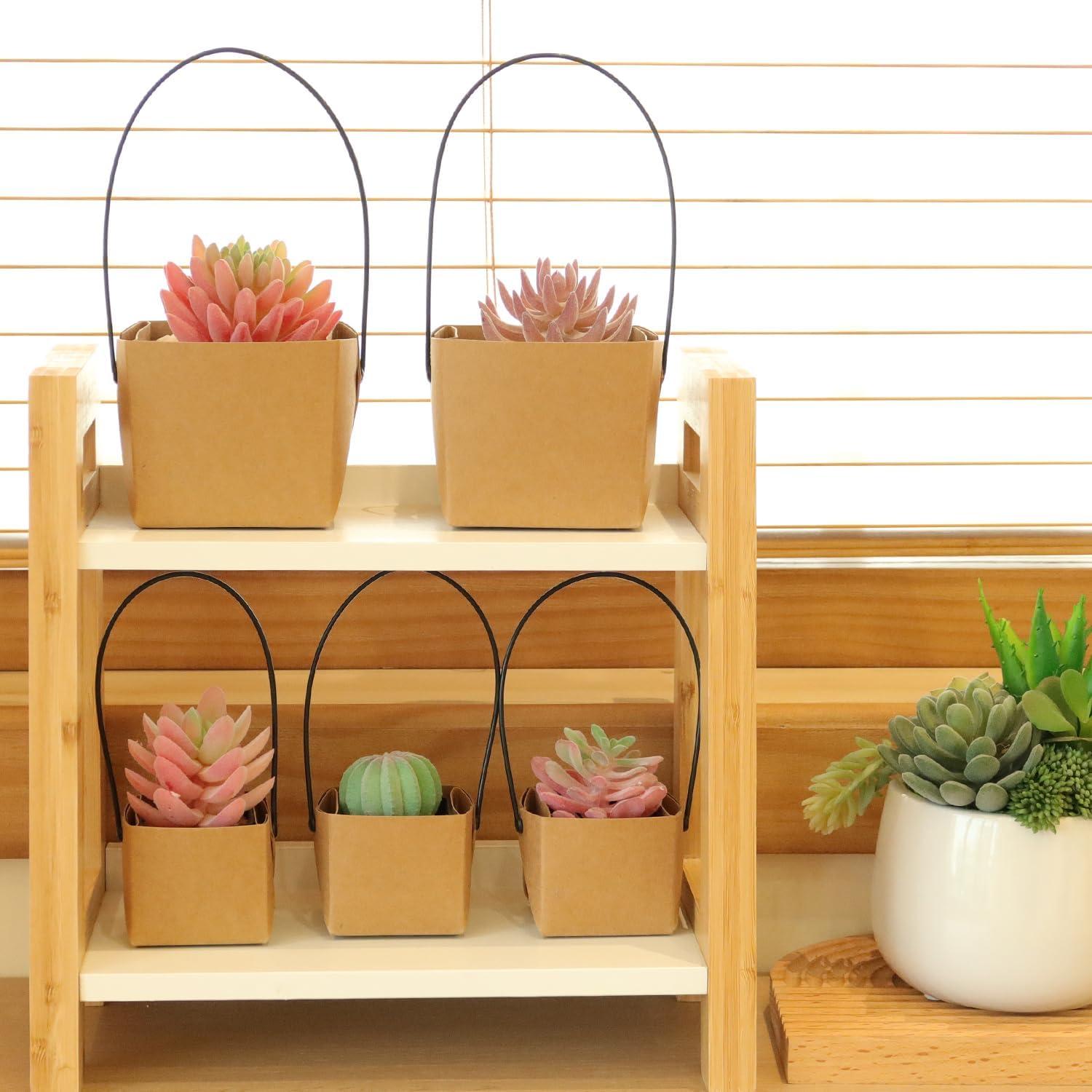 Set de 20 Macetas Pequeñas LUCKJUJU 5.08 cm con Bolsa Kraft