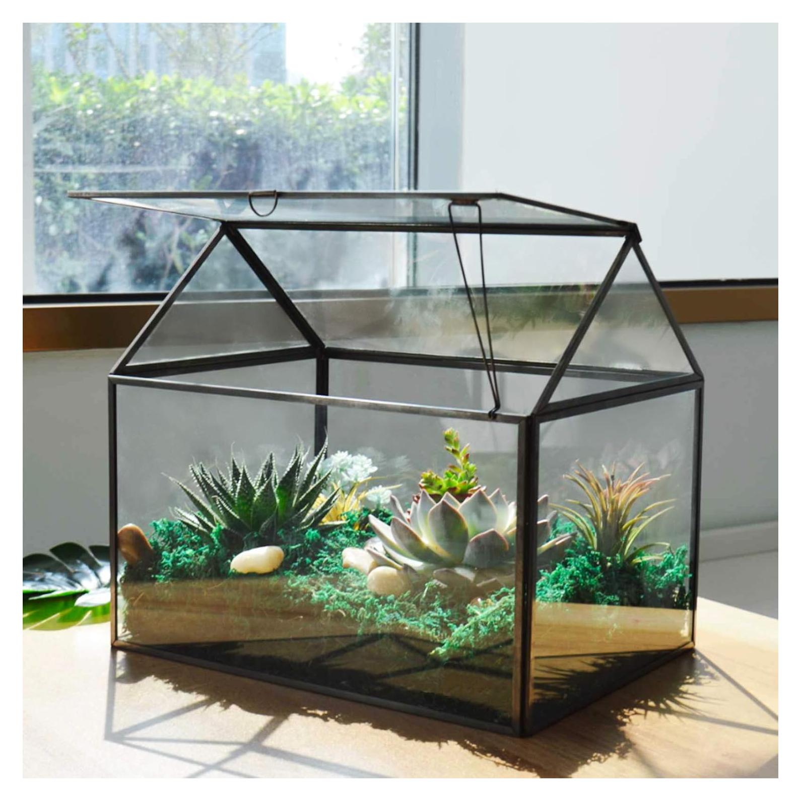 Terrario de Vidrio Grande YIMORENCE 21.9x16x18 cm Negro