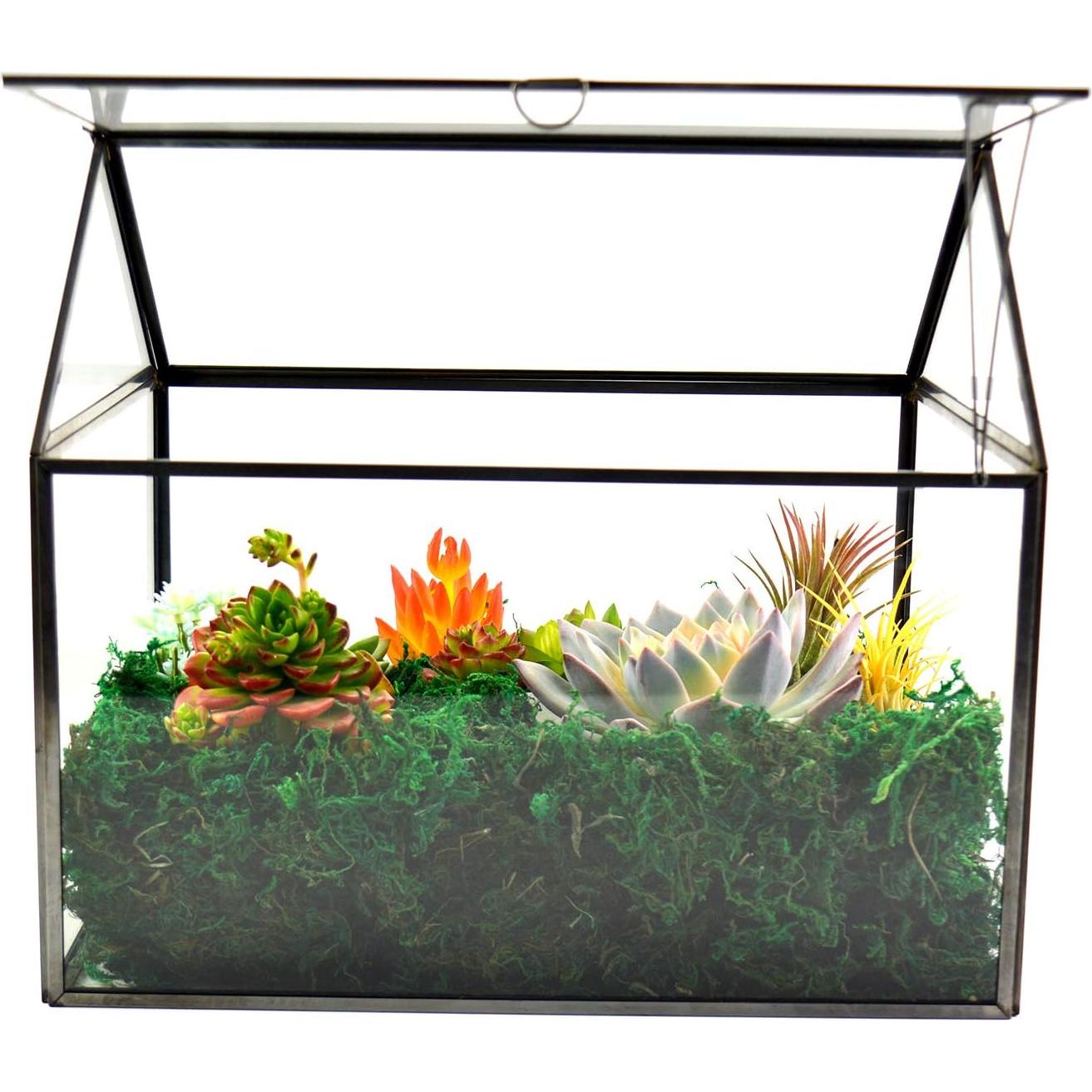 Terrario de Vidrio Grande YIMORENCE 21.9x16x18 cm Negro