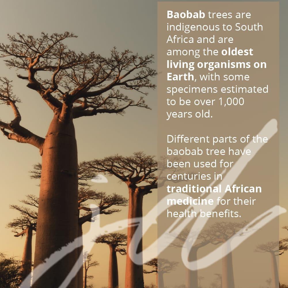 Jabón de Manos y Cuerpo Baobab Honeybush 198.1 ml Kimberly House