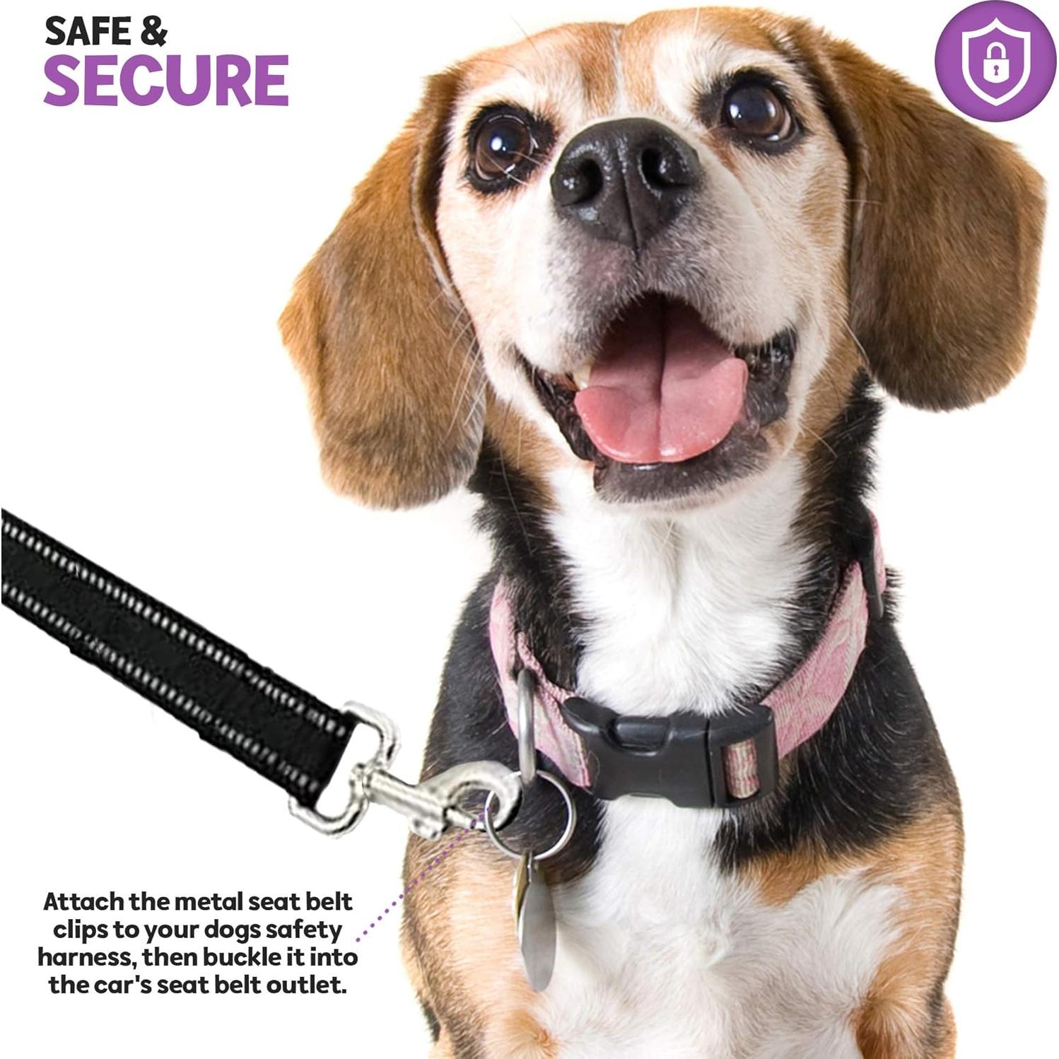Cinturón de Seguridad para Perros Poodle Pet Grande Ajustable