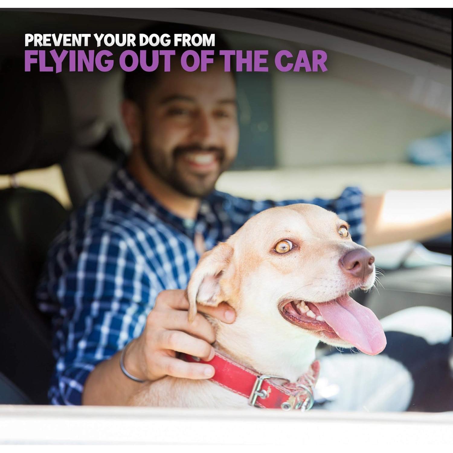 Cinturón de Seguridad para Perros Poodle Pet Grande Ajustable