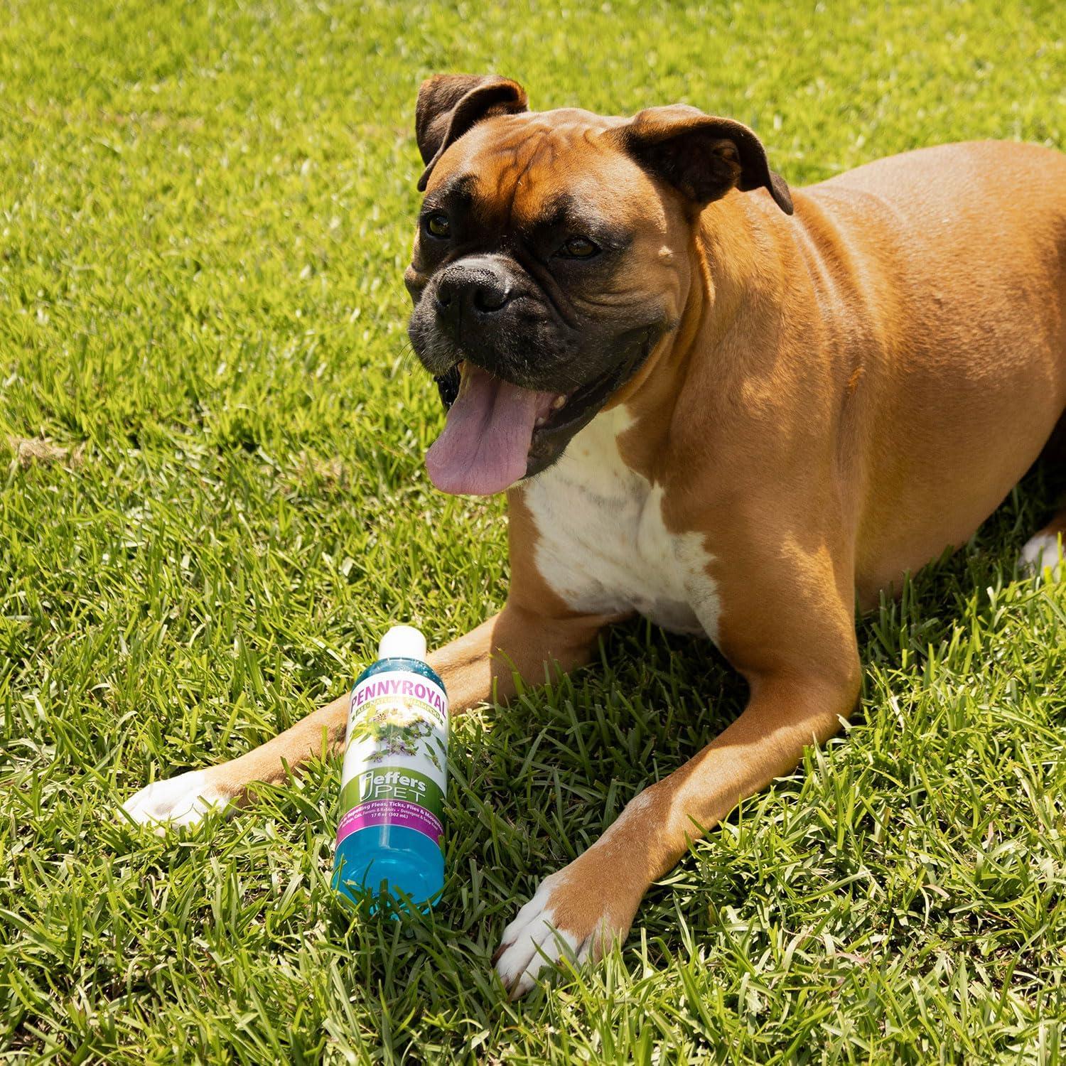 Champú Natural Jeffers para Mascotas 17 oz - Sin Jabón, Menta