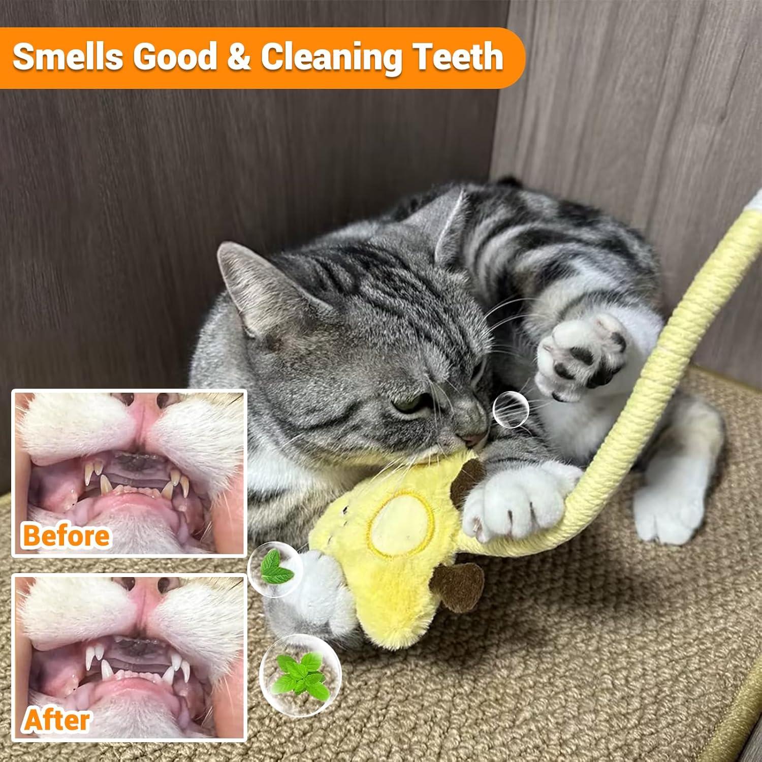 Juguetes de Masticar para Gatos Kingtree - Paquete de 2 con Catnip