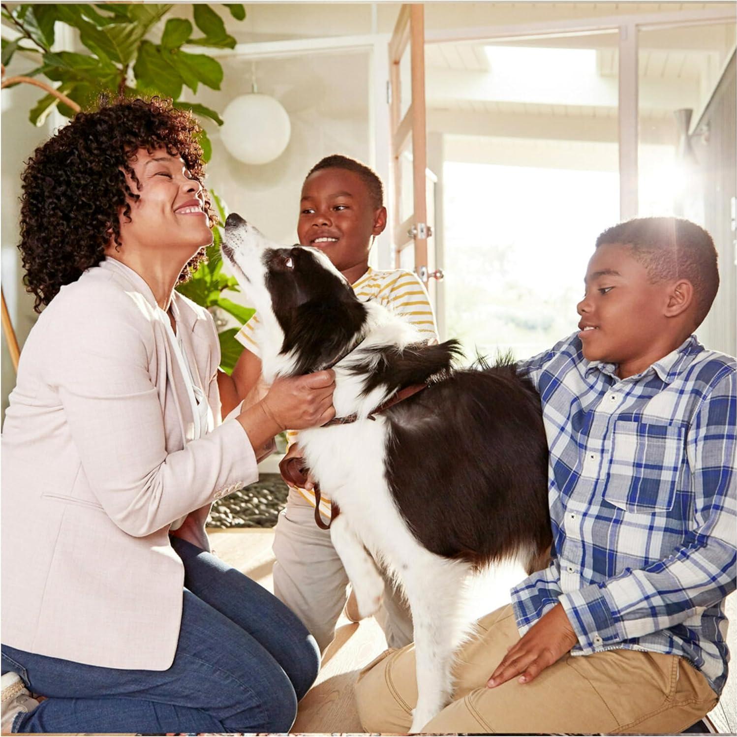 Filtro de Aire Filtrete 30x30 cm MPR 1000 MERV 11 Paquete de 2