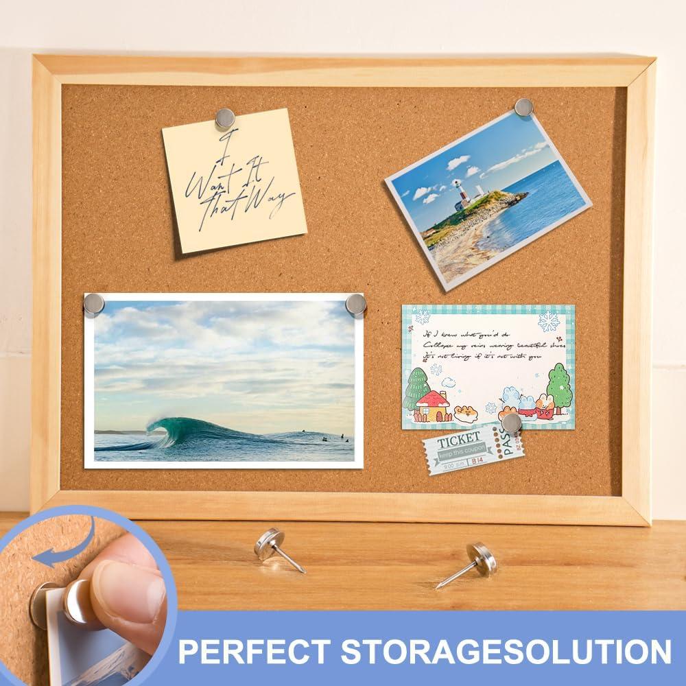 Pines Magnéticos Rhinocats 20 Pcs para Tablero de Anuncios