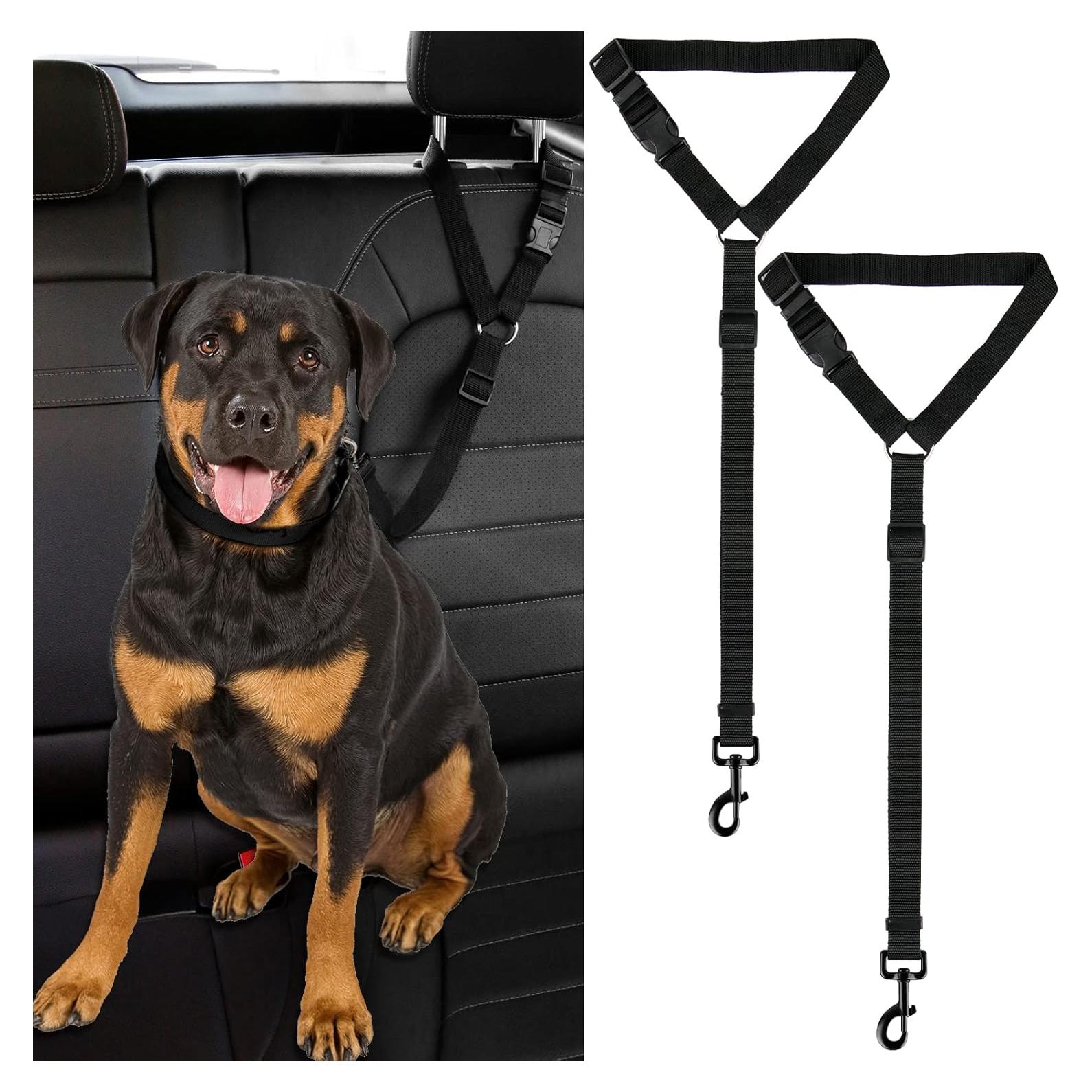 Correa de Seguridad Ajustable para Perros y Gatos Suytipe - Nylon Negro