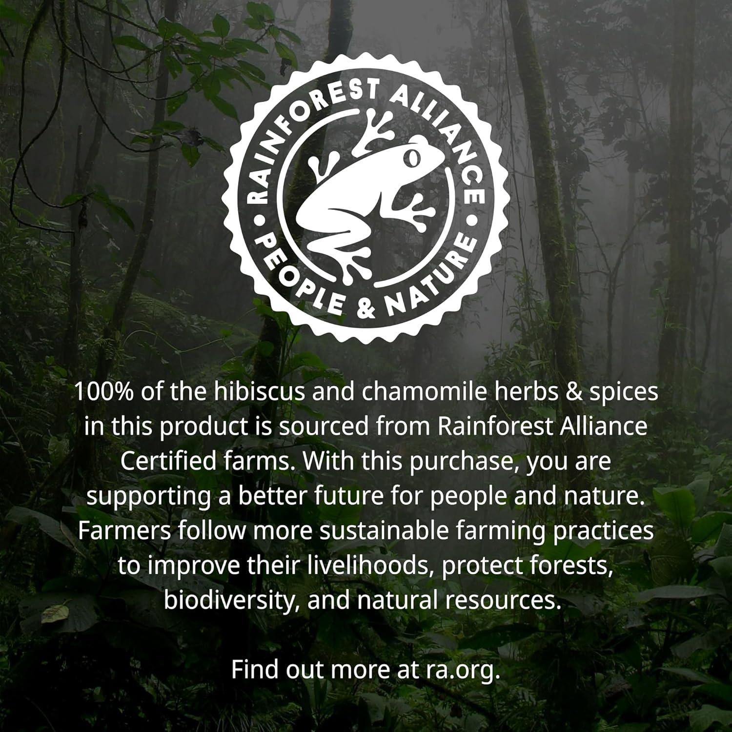 Té de Hierbas Orgánico VINIA Hibisco y Arándano 30 Sobres