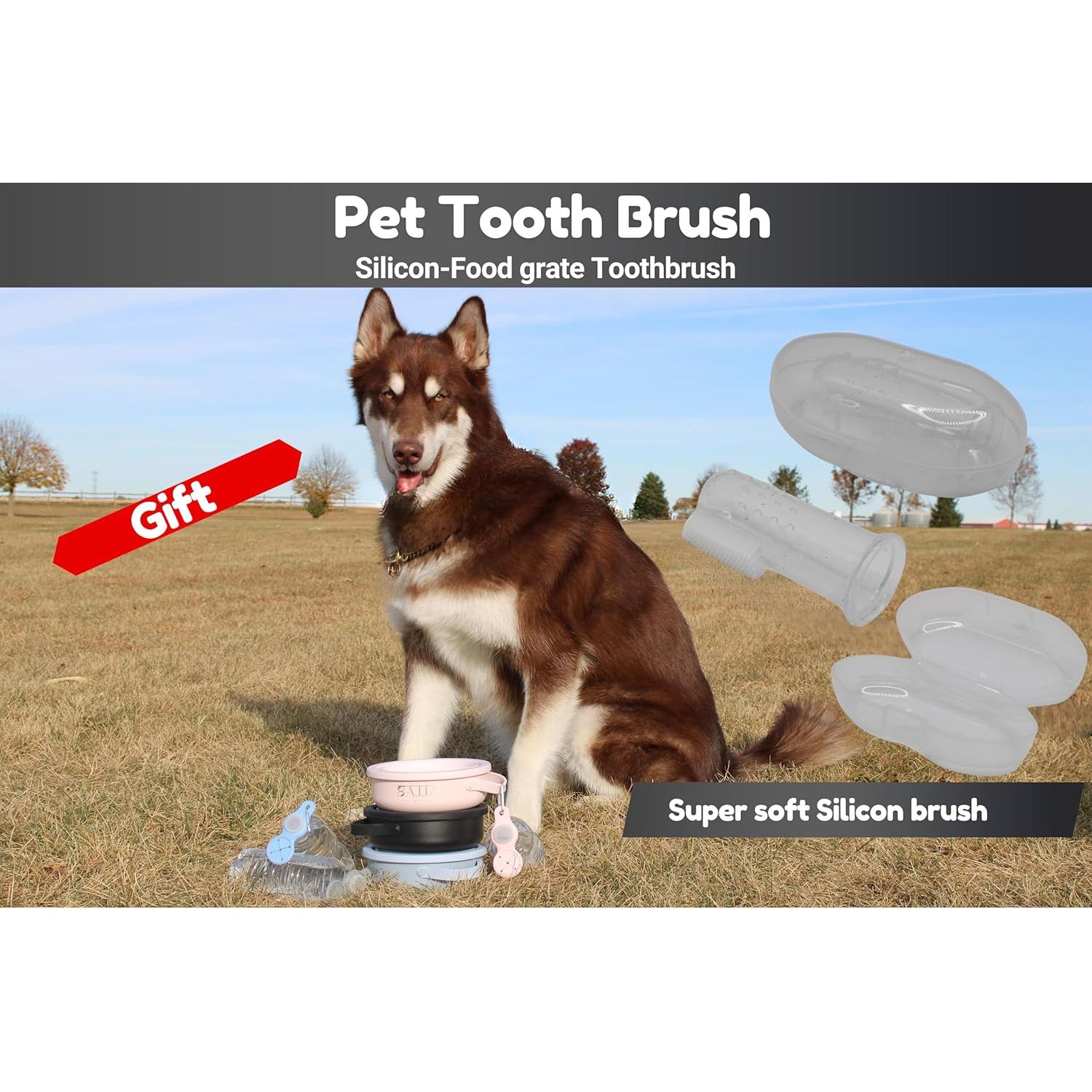 Cuenco de Viaje para Perros Sajja 3-en-1 Acero Inoxidable Antideslizante