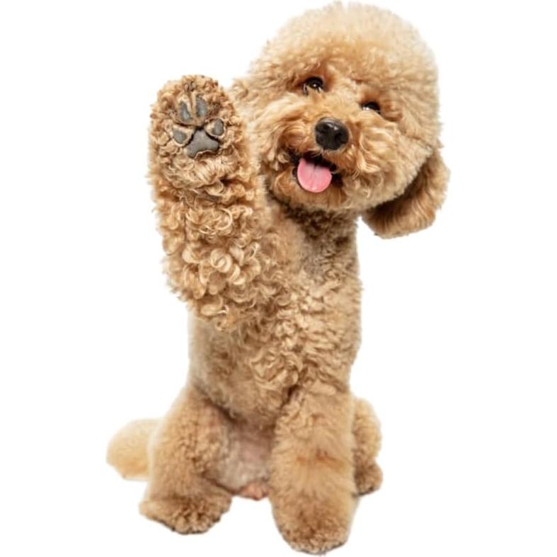 Soporte para bolsas de excremento de perro Everything Chic Naranja