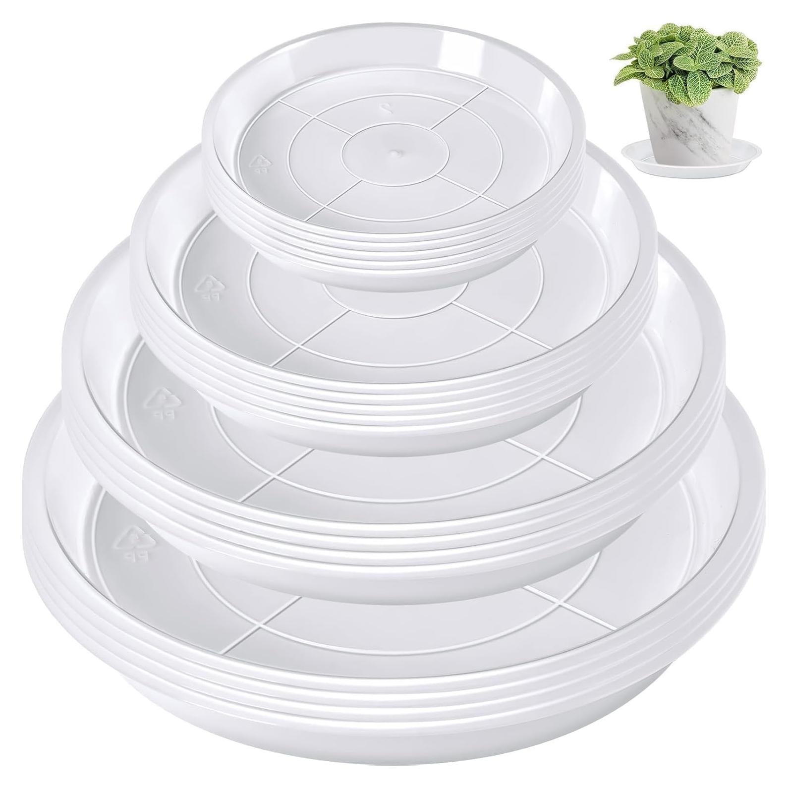 Bandeja de Macetas Augshy 18 Piezas 10.16/15.24 cm Transparente