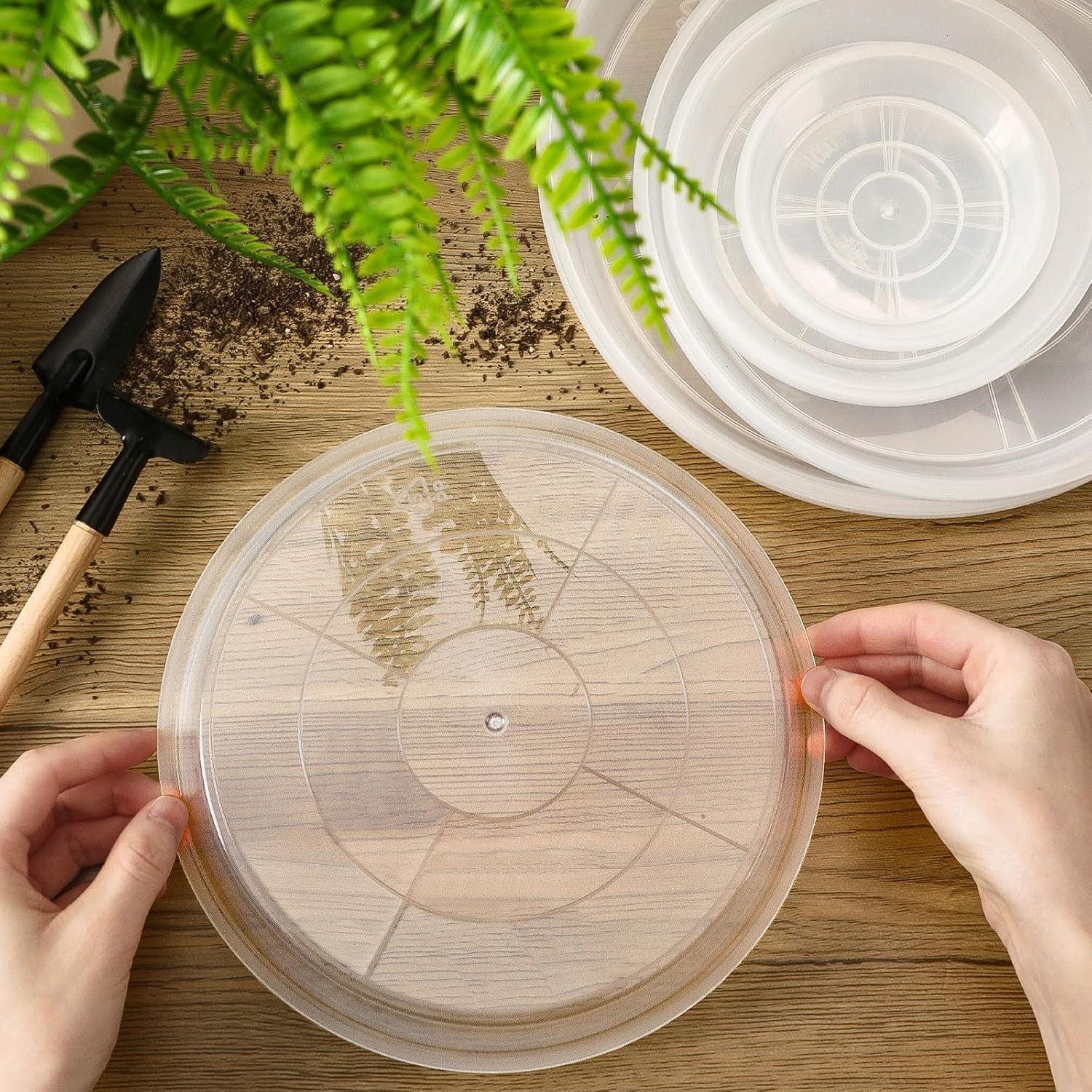 Bandeja de Macetas Augshy 18 Piezas 10.16/15.24 cm Transparente