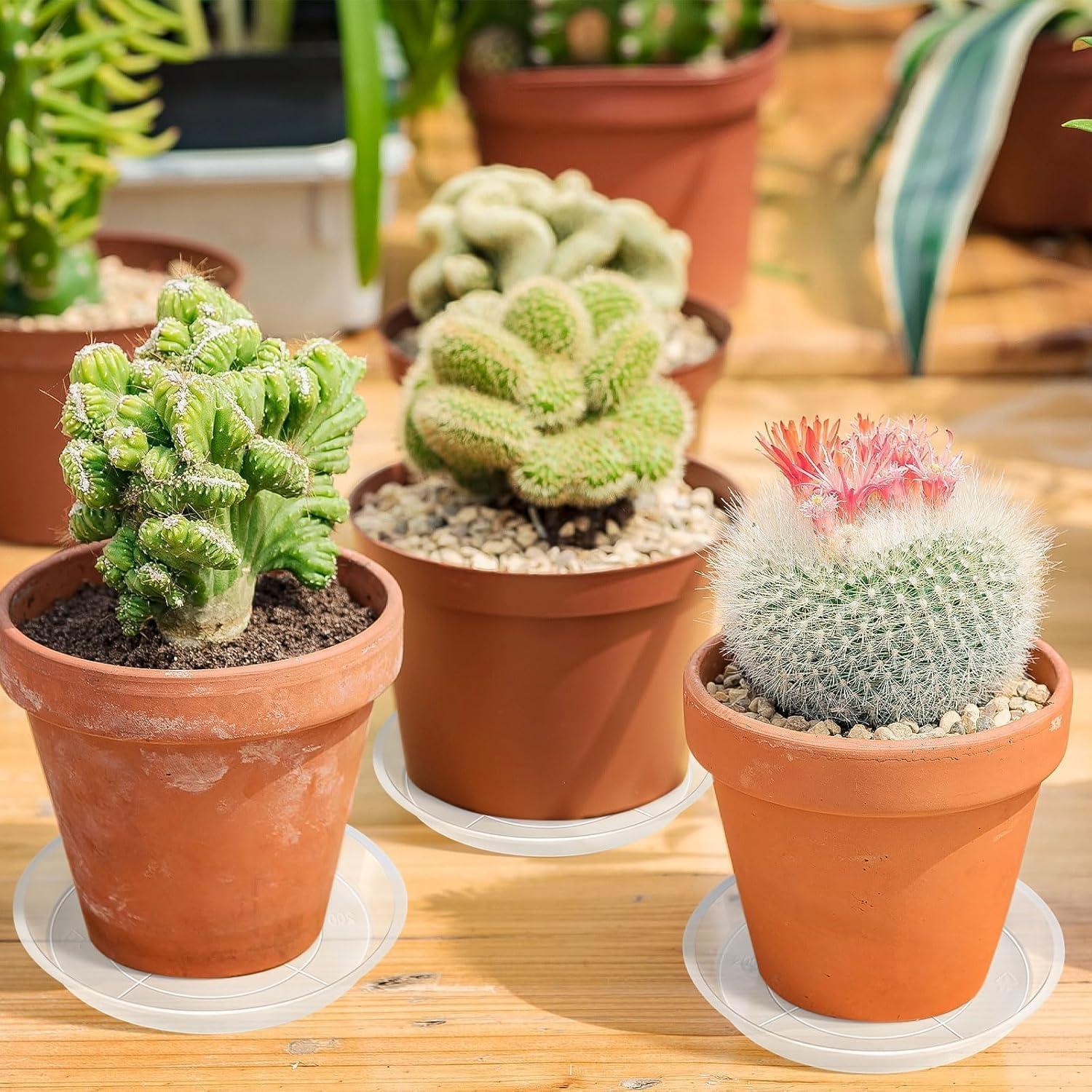 Bandeja de Macetas Augshy 18 Piezas 10.16/15.24 cm Transparente