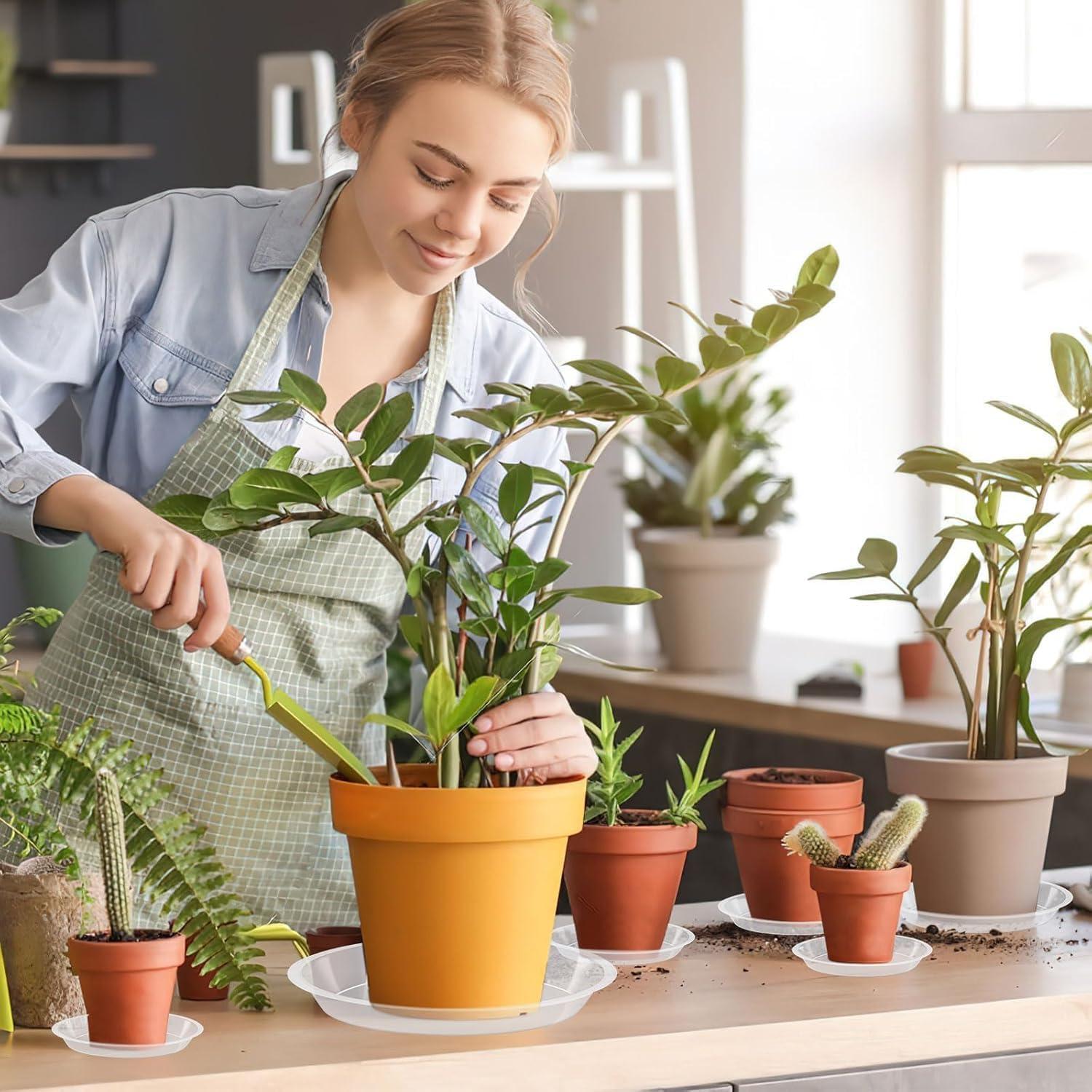 Bandeja de Macetas Augshy 18 Piezas 10.16/15.24 cm Transparente