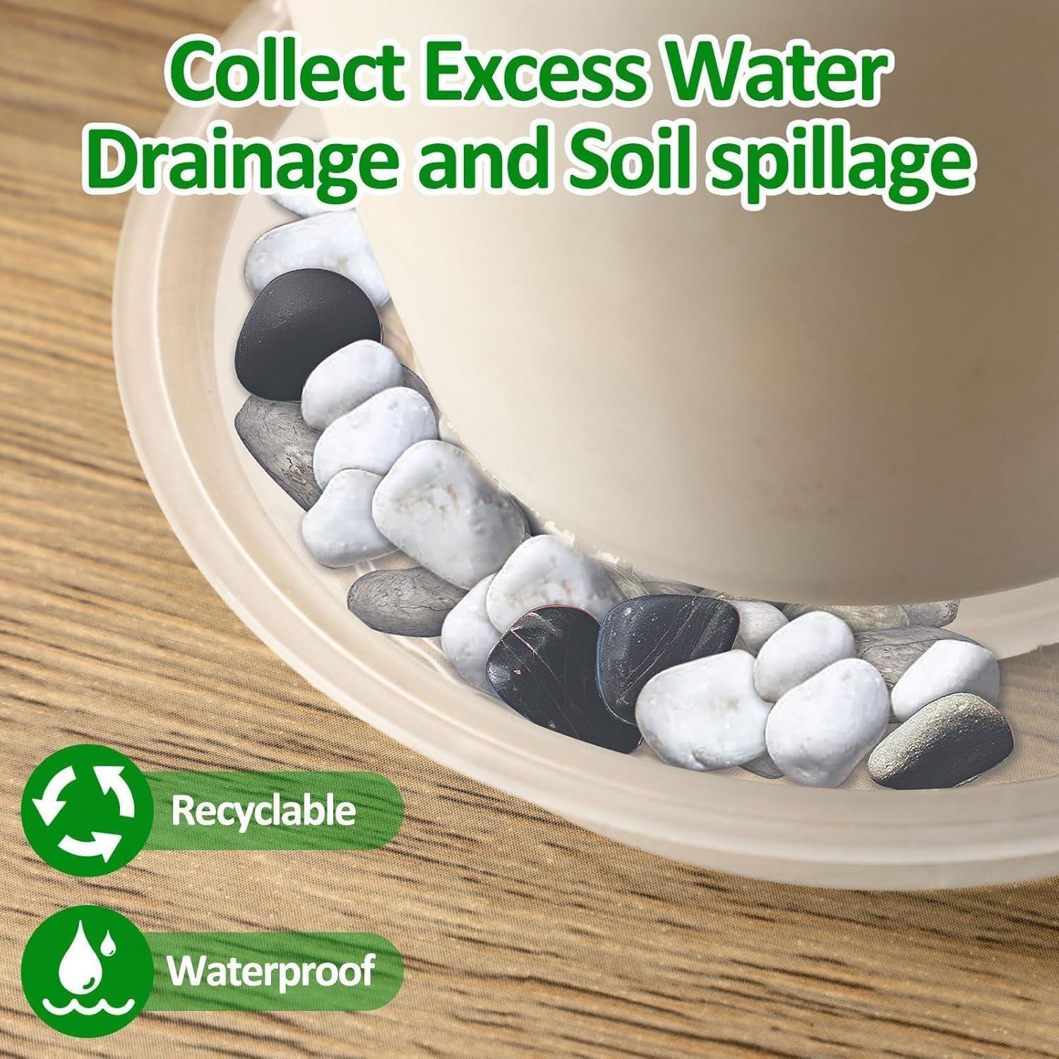 Bandeja de Macetas Augshy 18 Piezas 10.16/15.24 cm Transparente