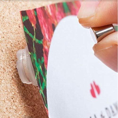 Chinchetas Magnéticas Bullseye Office - 8 Pares Cilindros Plateados