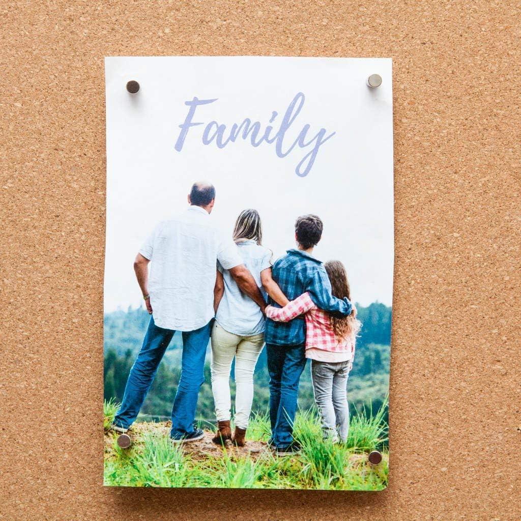 Chinchetas Magnéticas Bullseye Office - 8 Pares Cilindros Plateados