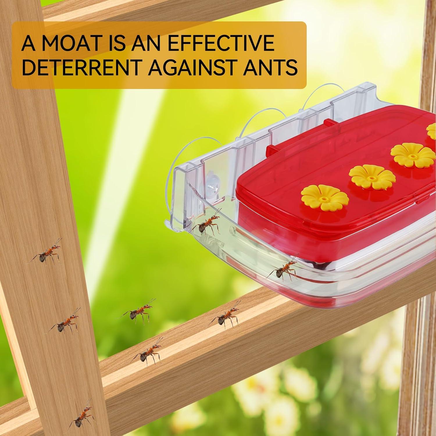 Comedero para Colibríes HCGADON Ventana 0.29L Rojo Antihormigas