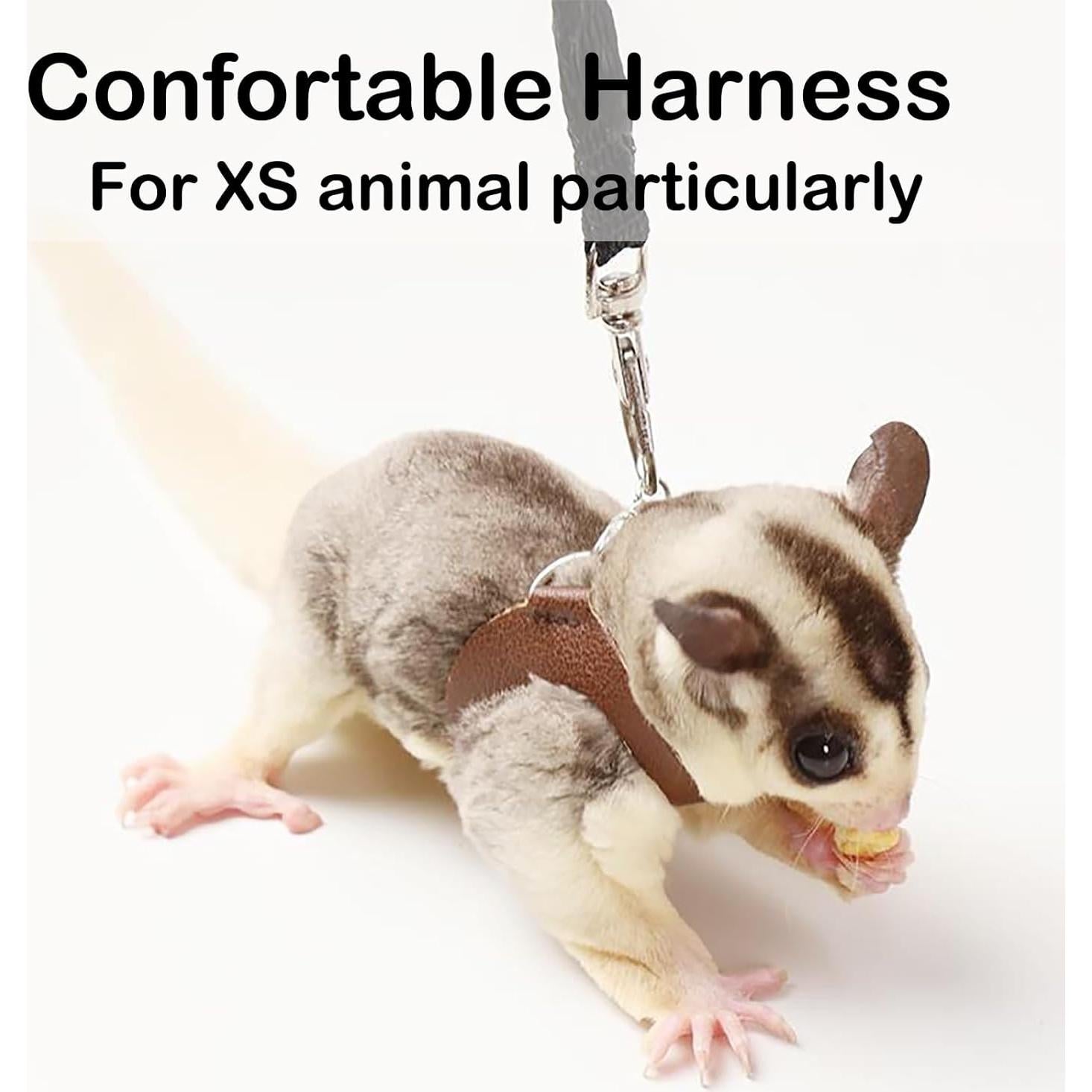 Juego de Arnés y Correa Meow&Woof para Gliders Negro 3 Tamaños