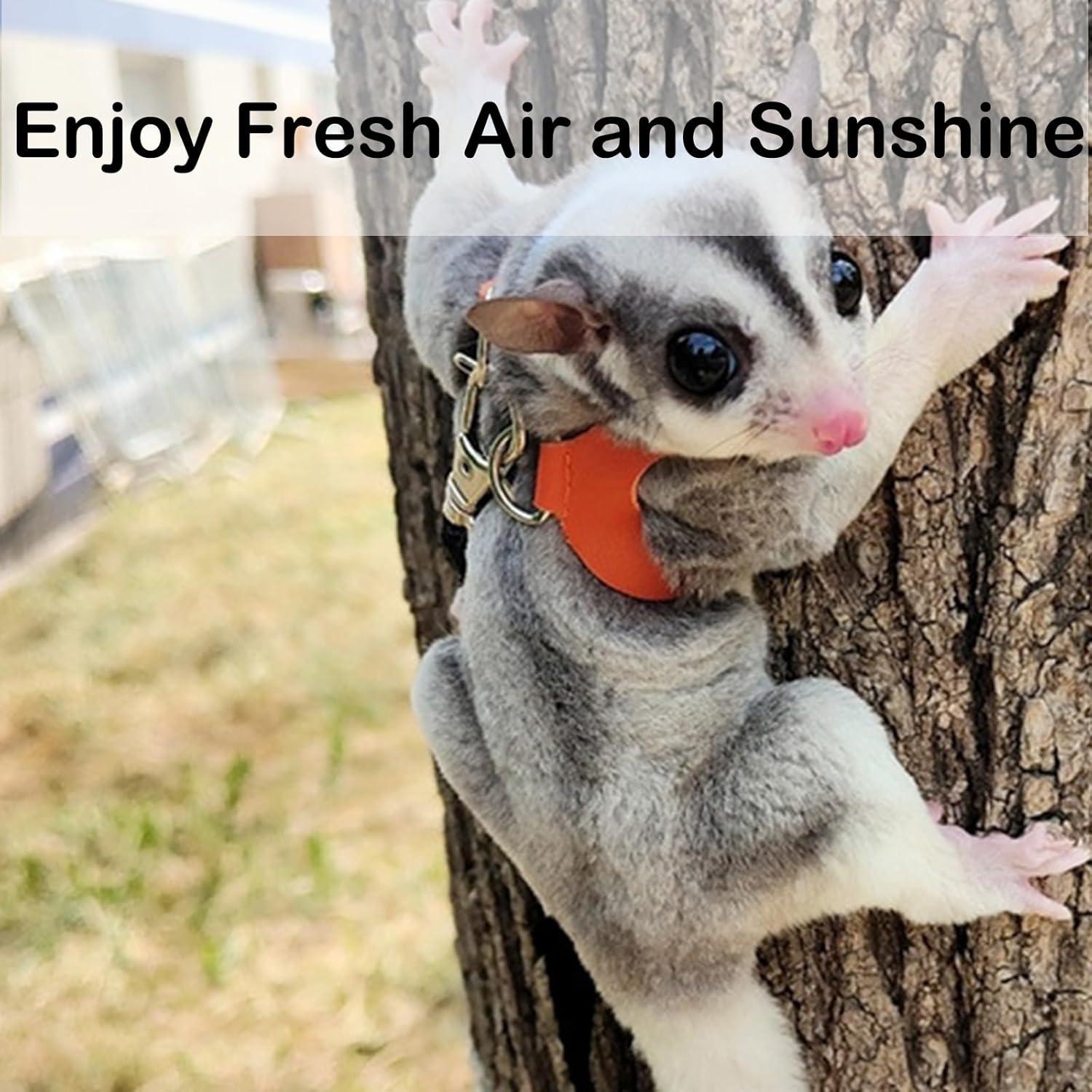 Juego de Arnés y Correa Meow&Woof para Gliders Negro 3 Tamaños