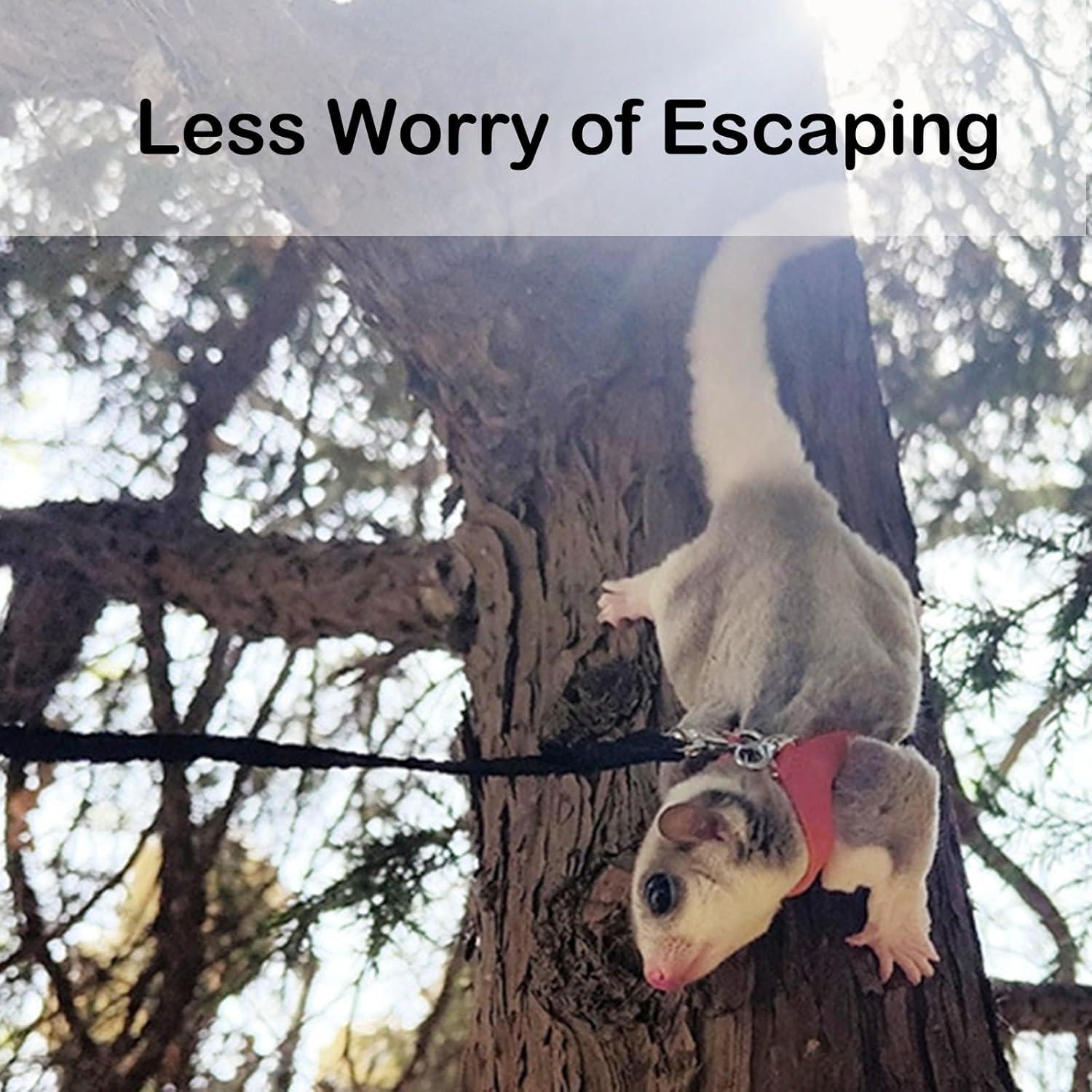 Juego de Arnés y Correa Meow&Woof para Gliders Negro 3 Tamaños