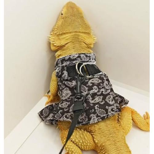 Conjunto Arnés y Correa Ajustable Fnaobai para Reptiles